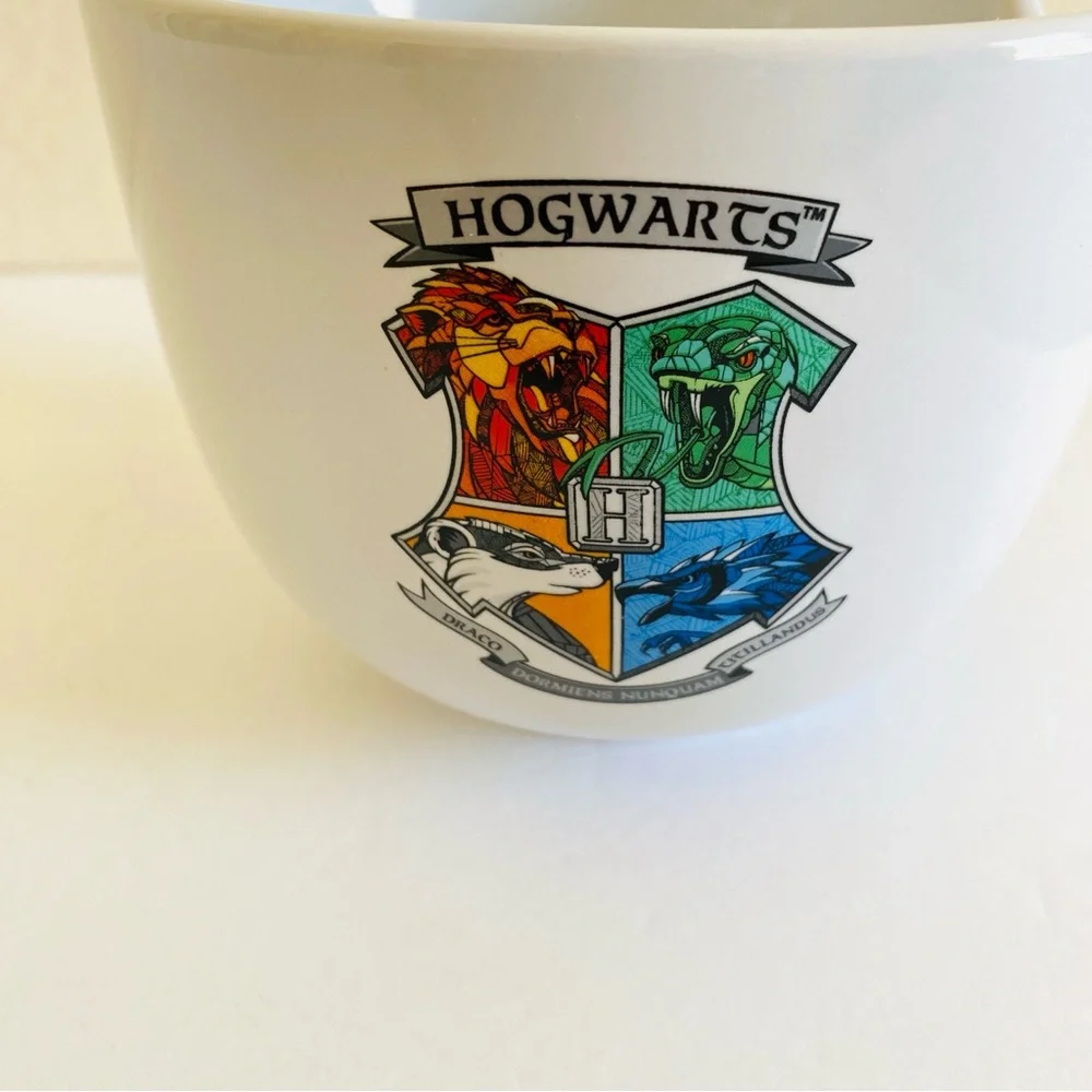 Harry Potter Hogwarts 20 oz Ceramic Ramen Bowl Dark Academia Fantasy Magical